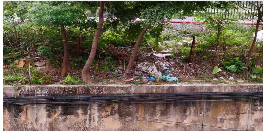 1540866454315828.png 1540866454315828.png