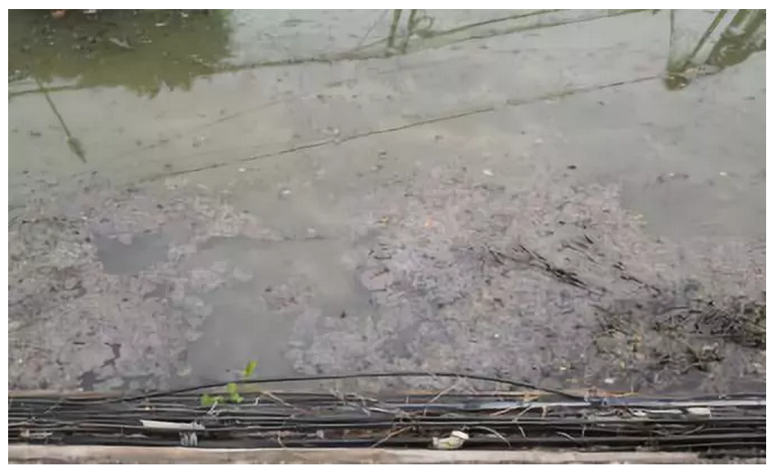 1540866411879800.png 1540866411879800.png