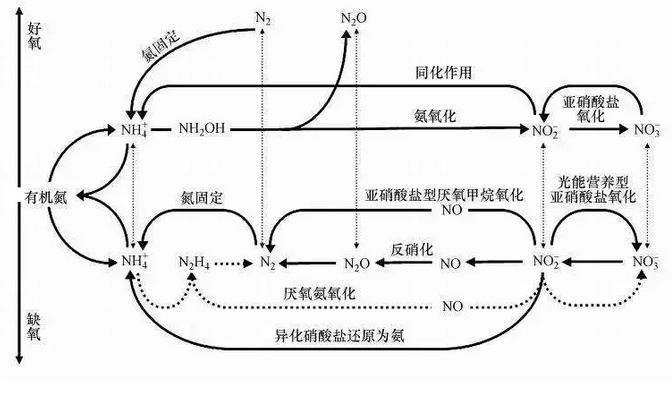 1546501401551544.png 1546501401551544.png