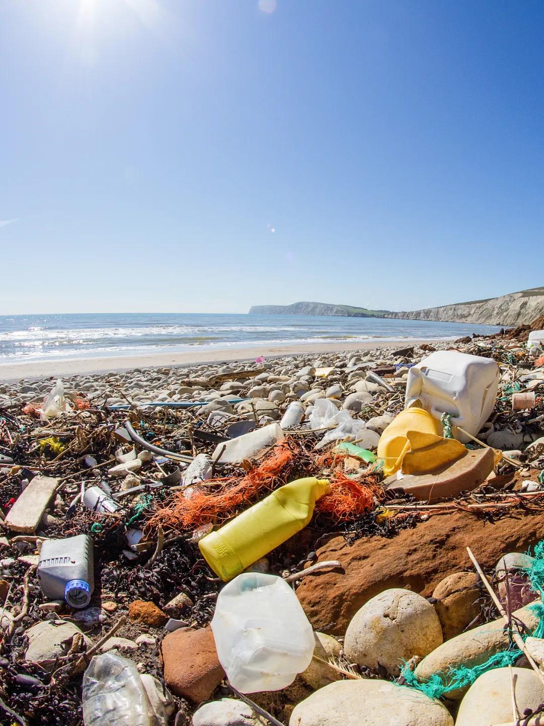 1588379200508460.jpg 1.jpg