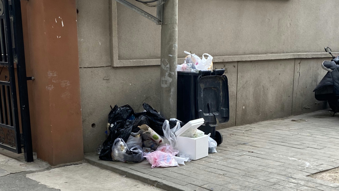 1591837038175030.png 3.png