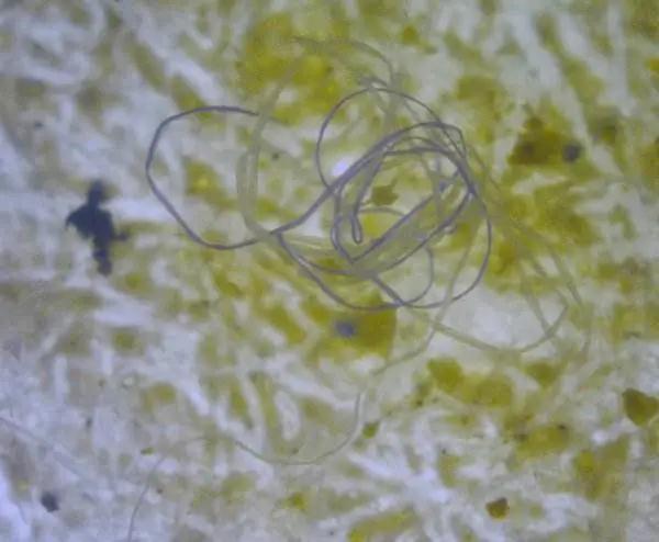 1605848425818619.jpg 4.jpg